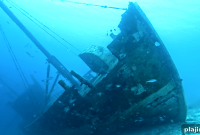 Discover Bonaire: Top Things to Do and Where to Stay
