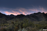 Desert Adventure Guide: Top Activities and Tips for Thrill-Seekers