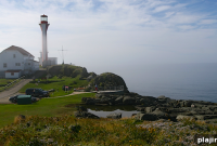 Quick Ferry Meals: Tasty Onboard Food Ideas for Short Trips