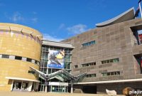 Interactive Things to Do in Wellington: Top Activities and Experiences