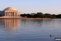 Fringetree Opens First Location in Washington, DC