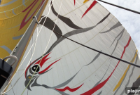 Race to Grow Your Business: Strategies for Faster Revenue