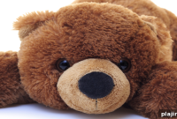 Travelling Bear Adventure Guide: Top Tips & Destinations