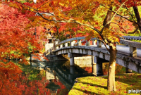 Kyōto Autumn Leaves Guide: Where and When to See Kōyō 2026