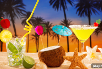 Palm Beach Art Party Guide: Events, Workshops & Tips