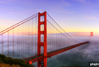 San Francisco Delights: Top Attractions, Food, and Neighborhoods