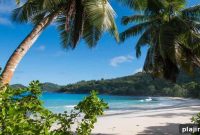 Serene Seychelles Travel Guide: Top Islands, Beaches & Tips