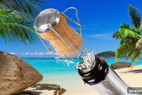 Clearwater Beach Uncorked: Wine, Events & Things to Do