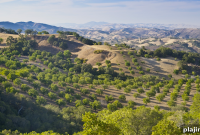 Vintage Bicycle Tour Through California Wine Country: Scenic Wine Trail Rides