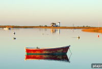 Cape Getaways Near Chatham Bars Inn: Day Trips and Escapes
