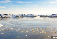 Norwegian Arctic Photography Expedition: Plan Your Adventure Now