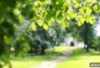 Win a Free Dorchester Stay by Sharing Your Best Summer Photo