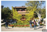 Discover Beijing: Top Attractions, Culture & Travel Tips