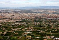 Murcia Wine Tours: Taste Local Wineries and Varietals