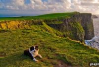 Explore Ireland Your Way: Personalized Travel Itineraries & Tips