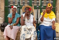 Cuba’s Tobacco Trail: From Plantation Fields to Hand-Rolled Cigars
