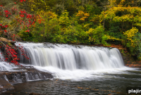Autumn at Omni Park Grove: New Seasonal Deals and Events
