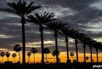 Fall Escape at Hilton Anaheim: Special Offers & Nearby Attractions