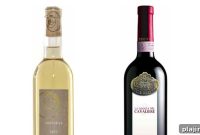 Ancient Grape Varieties of Campania: Rare Wines and Vineyards