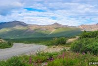 Biking and Brewing: Scenic Denali Highway Bike & Beer Guide