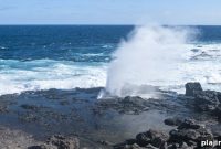 Galápagos Guide Training Program: Advance Your Skills for Tours