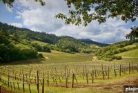 Celebrate Super Bowl 50 in Napa Valley at SENZA Hotel