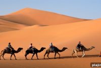 Ride a Camel Across the Sahara Desert: Tips and What to Expect