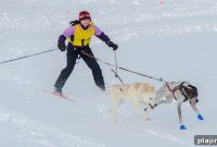 Red River Hosts First-Ever Skijoring Event: Highlights & Photos