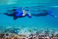 Australia Unveils Global Tourism Campaign to Attract International Travelers