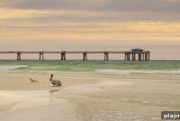 Gulf-to-Table Dining on the Emerald Coast: Where Seafood Meets Shore