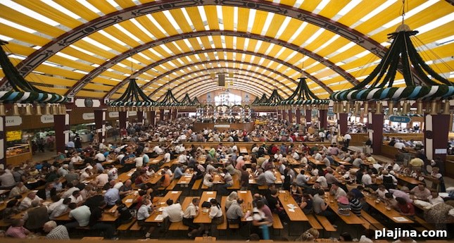 featured 59436