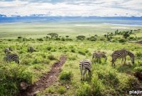 Jeff Corwin Launches New Wildlife Expeditions Across the Globe
