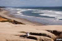 Surf and Dine: Surfing Lessons with the Chef at Park Hyatt Aviara