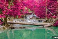 Thailand to Upgrade 50 National Parks: What Travelers Need to Know
