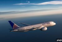 Fly With Your Pet and Earn MileagePlus Rewards Fast