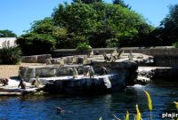 Meet the Animals: Interactive Experiences at Chester Zoo, England