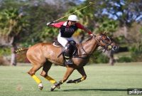 2016 Polo Weekend at Hotel Viking: Package, Dates & Highlights