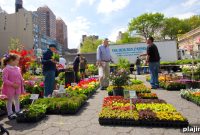 Top 5 Must-Visit Farmers’ Markets in the U.S.