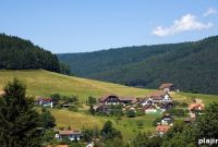 Black Forest Adventures and Relaxation: Top Escapes in Germany