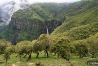 Discover Ethiopia’s Simien Mountains: Trekking, Wildlife & Views