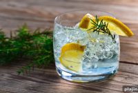 British Airways Launches Premium Gin Line: What Travelers Should Know