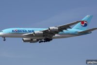 Korean Air Lets Flight Crew Carry Stun Guns for Passenger Safety