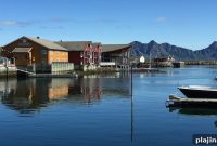 Top Places for Whale Watching in Norway: Tours, Seasons & Tips