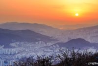 Top Sights to See in Busan: A Visitor’s Guide