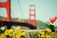 Spring Dining Guide: Where to Eat in San Francisco This Season