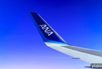 ANA Reveals Airbus A380 with Sea Turtle Livery: Photos & Details
