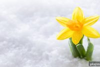 Top Spring Travel Destinations for Unforgettable Getaways