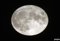 SpaceX Plans Moon-Flyby Tourist Trips by 2018
