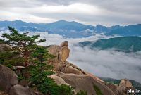 Ulsan Temples and Parks Guide: Top Sacred Sites & Scenic Parks