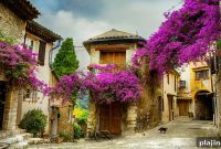 Themed Journeys Through France: Discover Regions by Passion